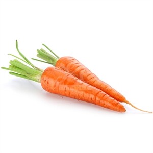 Carrot Loose