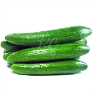 Cucumber Israeli