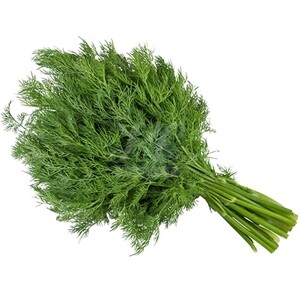 Dill Bunch