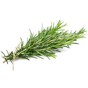 Fresh Rosemary