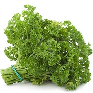 Parsley Curly  Bunch
