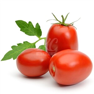 Plum Tomato