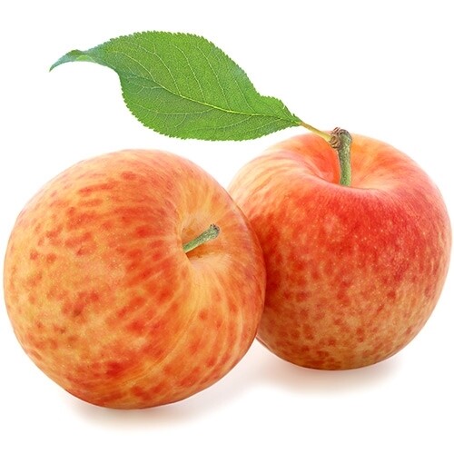 Pluot Red
