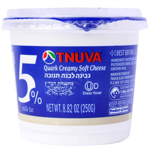 Tnuva Creamy Soft Cheese 95% Fat Free, 8.82 Oz