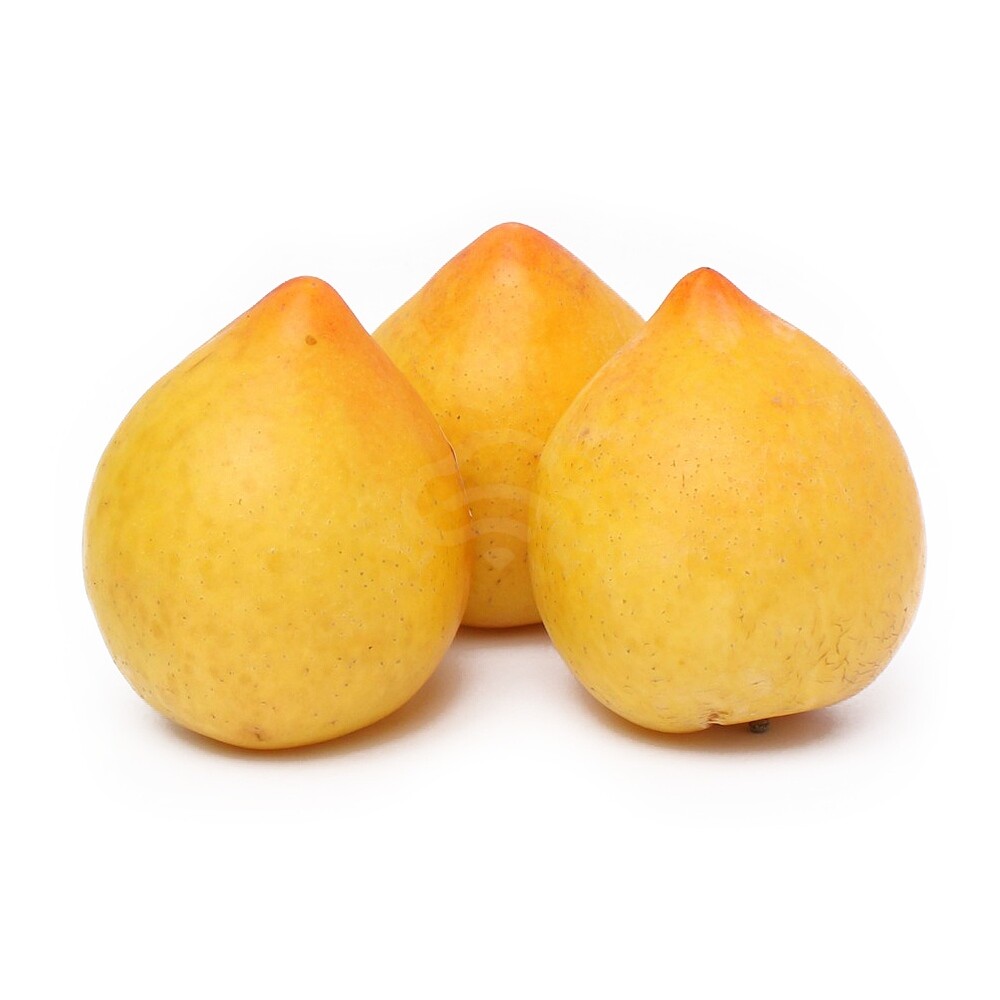 Yellow Plum